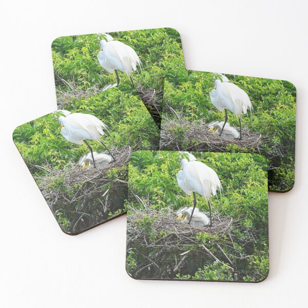 Item preview, Baby Great White Heron designed and sold by LisaWootenPhoto.