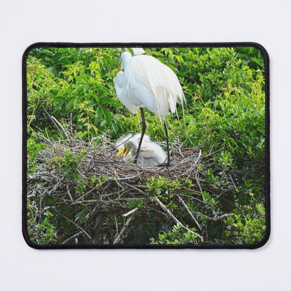 Item preview, Baby Great White Heron designed and sold by LisaWootenPhoto.
