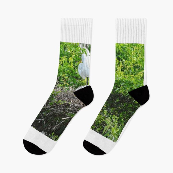 Item preview, Baby Great White Heron designed and sold by LisaWootenPhoto.