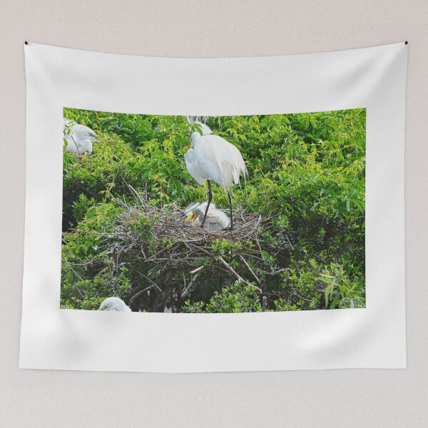Item preview, Baby Great White Heron designed and sold by LisaWootenPhoto.