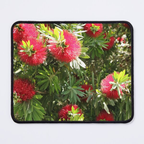 Item preview, Nature, shrub, flower, bottle cleaner, red, photography, BebiCervin designed and sold by BebiCervin.
