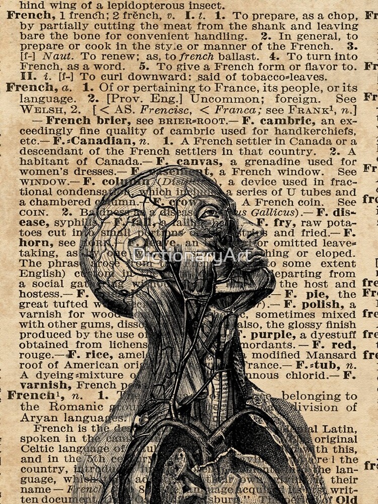 Medical Human Anatomy Illustration Over Old Book Page