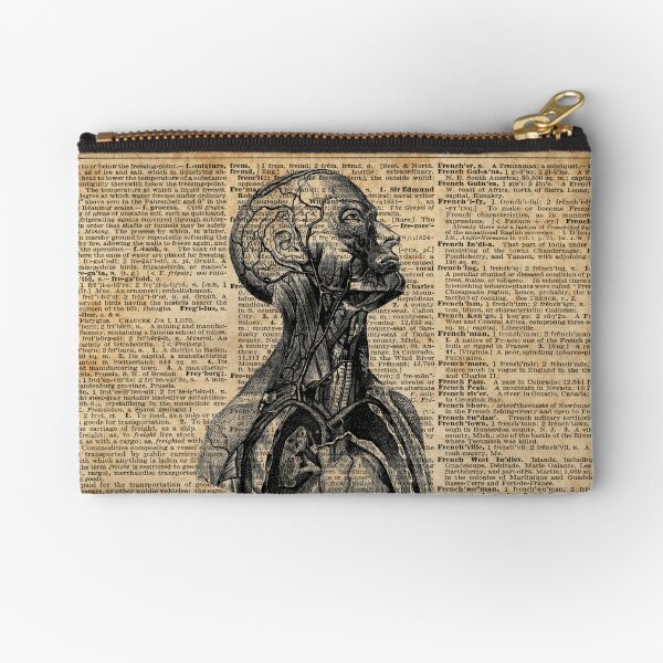 Anatomy of human abdominal muscles. Zipper Pouch for Sale by