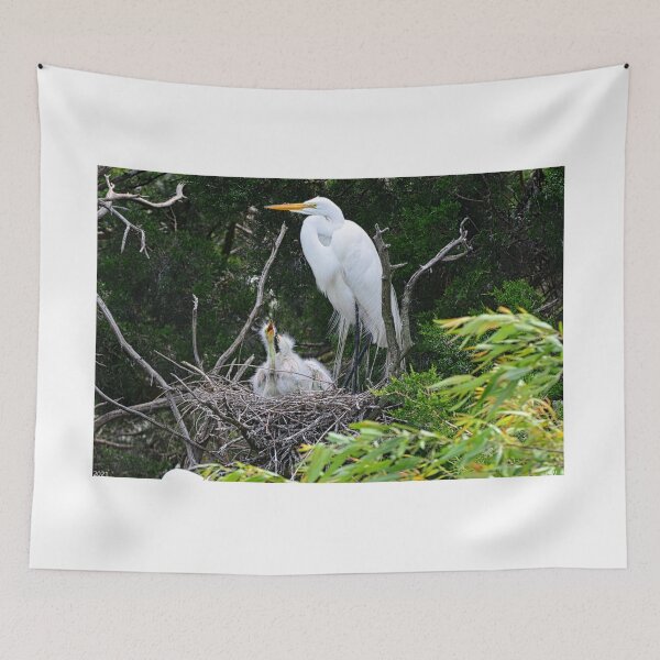 Item preview, Momma We Are Hungry designed and sold by LisaWootenPhoto.
