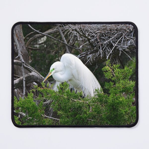 Item preview, Beautiful Great White Heron designed and sold by LisaWootenPhoto.