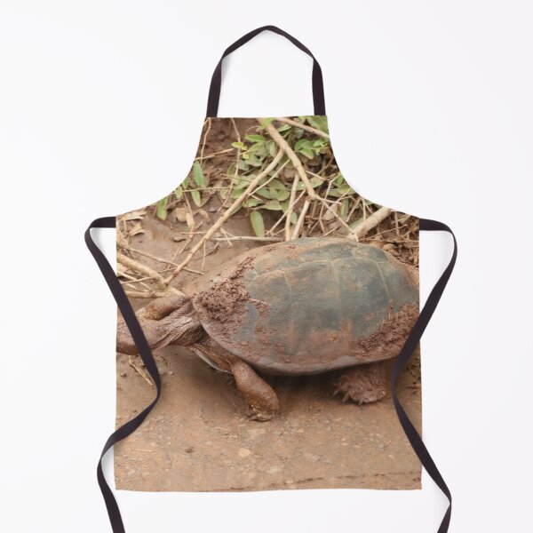 Item preview, Nature, Animal, Africa, South Africa, Hluhluwe Umfolozi NP, Tortoise, Photography, BebiCervin designed and sold by BebiCervin.