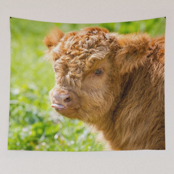 Item preview, Raspberry Cow designed and sold by Jane Stanley Photography.