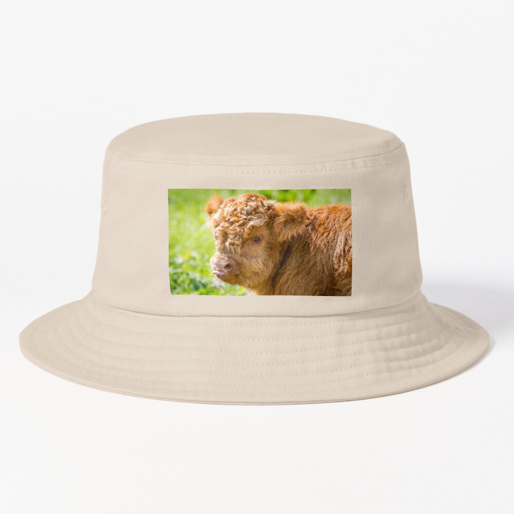 https://ih1.redbubble.net/image.2841313097.2175/ssrco,bucket_hat,product,e5d6c5:f62bbf65ee,srp,square,1000x1000-bg,f8f8f8.jpg