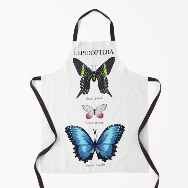Item preview, Lepidoptera of Panama designed and sold by Aspen Workman.