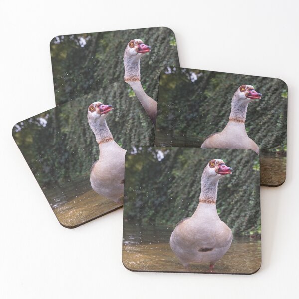 Item preview, An Egyptian Goose Standing in Shallow Water designed and sold by Borinna.