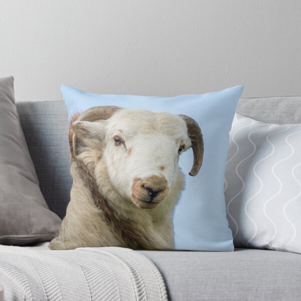 Item preview, Welsh Mountain Sheep II designed and sold by Jane Stanley Photography.