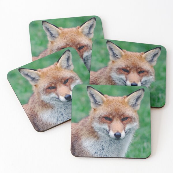 Item preview, An Adorable Red Fox designed and sold by Karen Thomson.