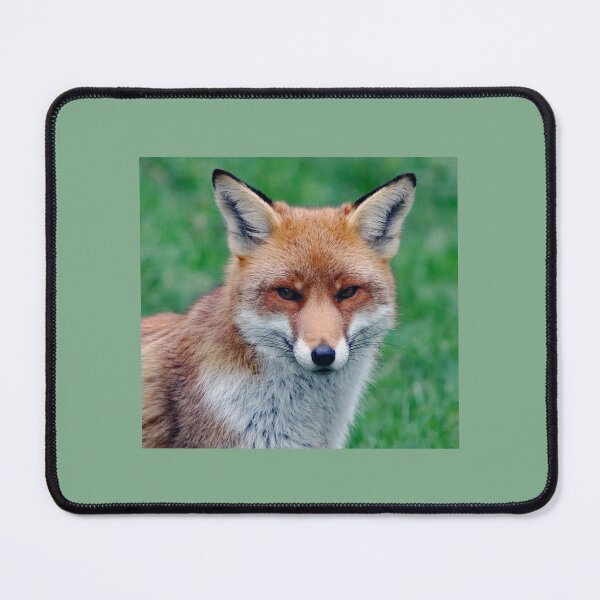 Item preview, An Adorable Red Fox designed and sold by Karen Thomson.