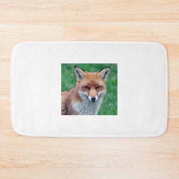 Item preview, An Adorable Red Fox designed and sold by Karen Thomson.