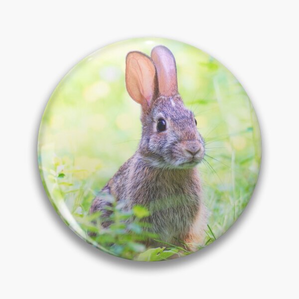 Item preview, Cute Rabbit posing for the camera ! designed and sold by Majphoto.