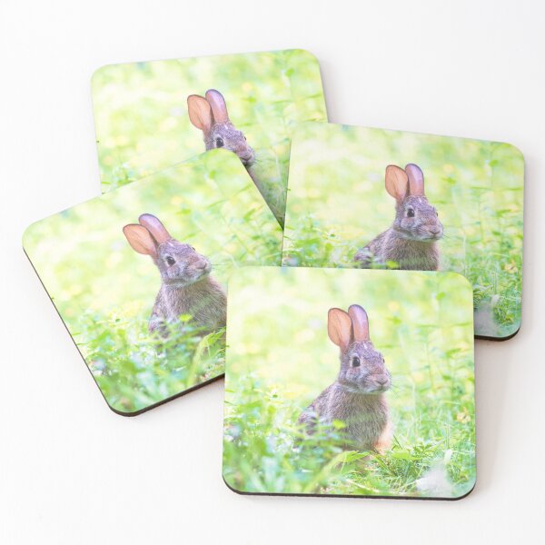Item preview, Cute Rabbit posing for the camera ! designed and sold by Majphoto.
