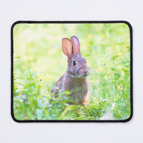 Item preview, Cute Rabbit posing for the camera ! designed and sold by Majphoto.