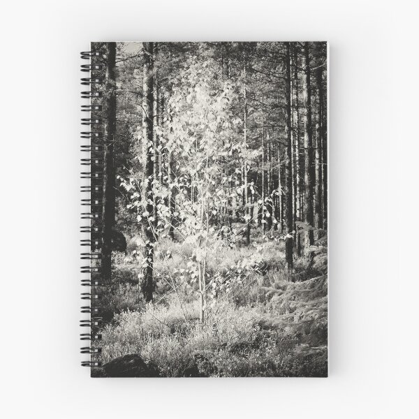 Item preview, In the spotlight bw designed and sold by Jouko Lehto Photography.