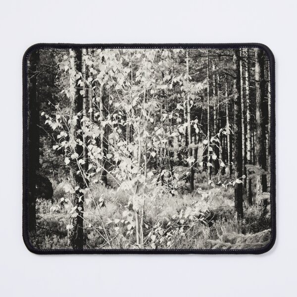 Item preview, In the spotlight bw designed and sold by Jouko Lehto Photography.