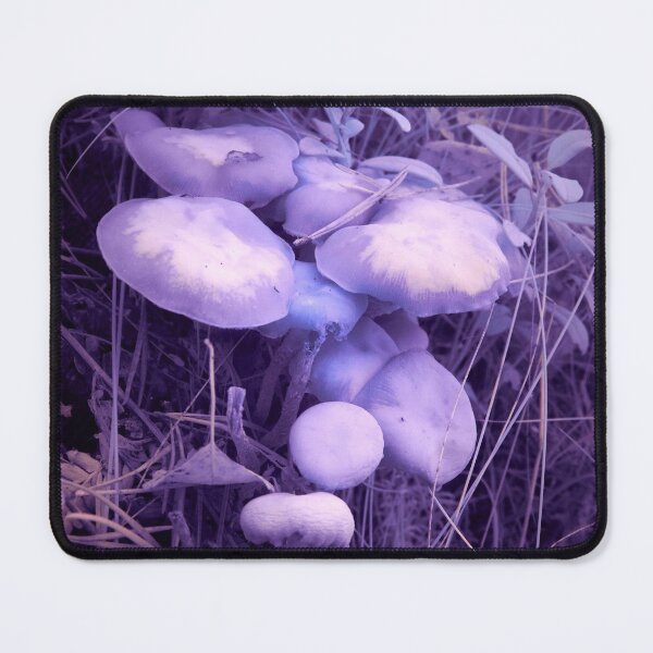Item preview, Magic mushrooms so deadly designed and sold by Jouko Lehto Photography.