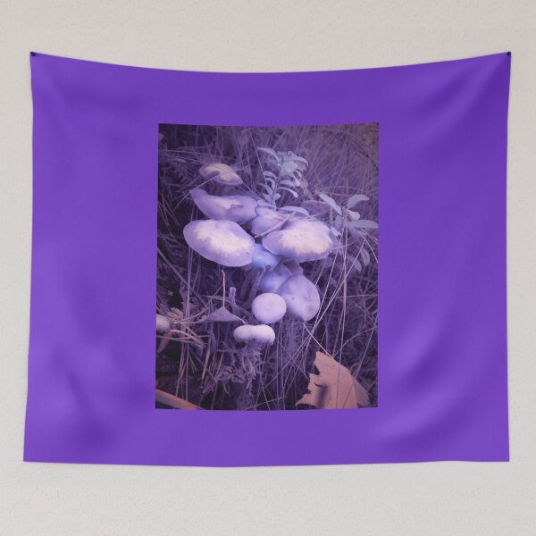 Item preview, Magic mushrooms so deadly designed and sold by Jouko Lehto Photography.