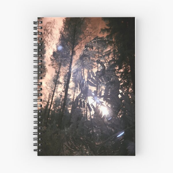 Item preview, Ferns of the red planet designed and sold by Jouko Lehto Photography.