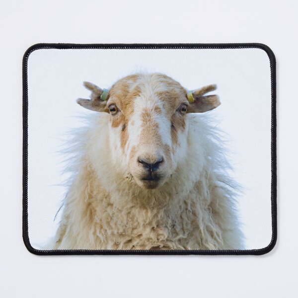 Item preview, Welsh Mountain Ewe designed and sold by Jane Stanley Photography.