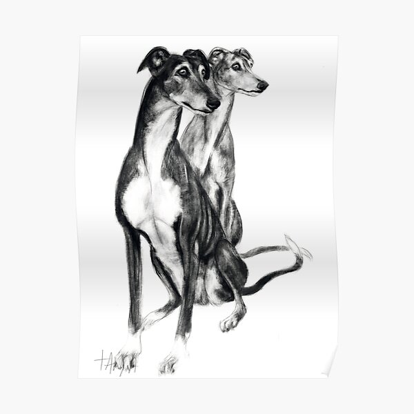 Igor & Evi, Galgo Espagnol Poster