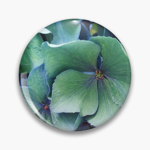 Item preview, Hydrangea-Green Hydrangea-Flower Photography-Hortense designed and sold by TessAndre.