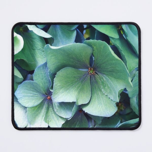 Item preview, Hydrangea-Green Hydrangea-Flower Photography-Hortense designed and sold by TessAndre.