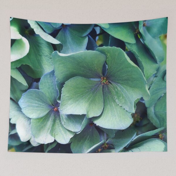 Item preview, Hydrangea-Green Hydrangea-Flower Photography-Hortense designed and sold by TessAndre.