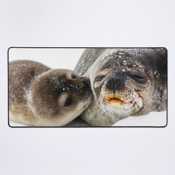 Item preview, Antarctic Fur Seal with Baby Kissing Its Mother designed and sold by BritishYank.