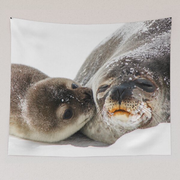 Item preview, Antarctic Fur Seal with Baby Kissing Its Mother designed and sold by BritishYank.