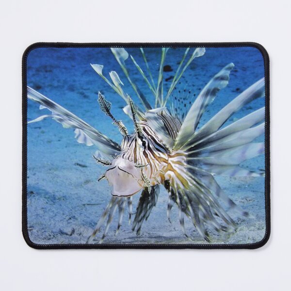 Item preview, Lionfish designed and sold by Savannah Gibbs.
