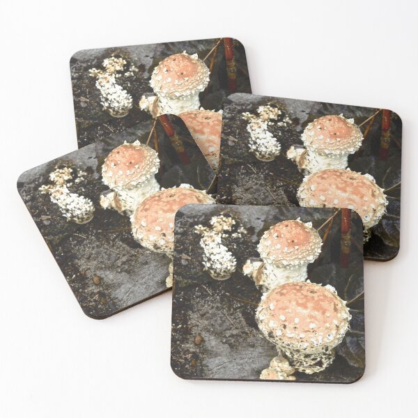 Item preview, Irish Mushrooms designed and sold by Shulie1.