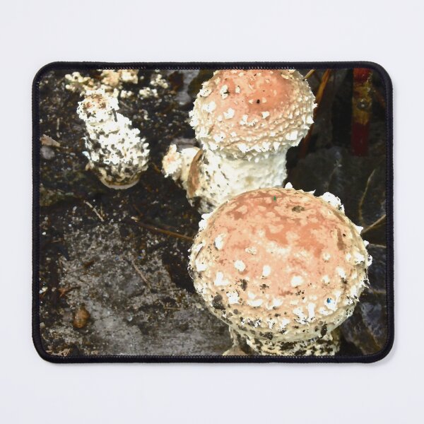 Item preview, Irish Mushrooms designed and sold by Shulie1.