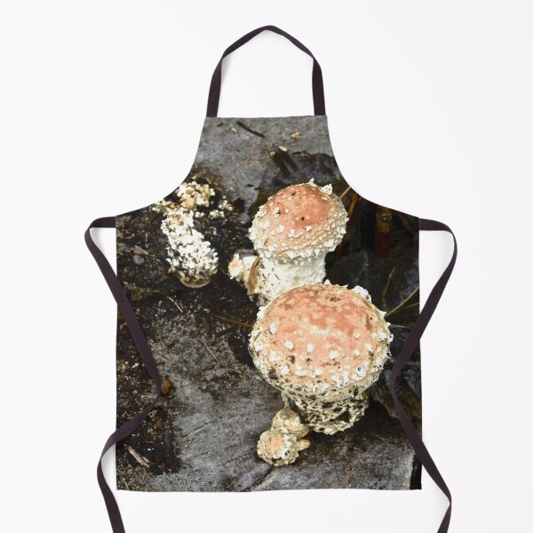 Item preview, Irish Mushrooms designed and sold by Shulie1.