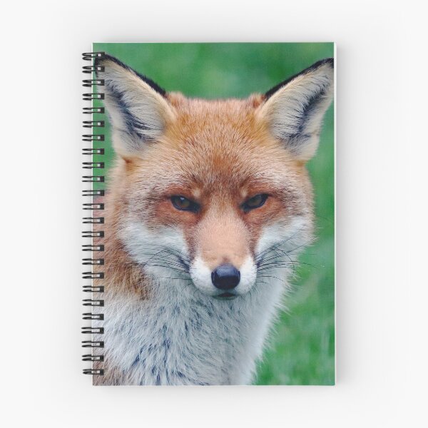 Item preview, An Adorable Red Fox designed and sold by Karen Thomson.