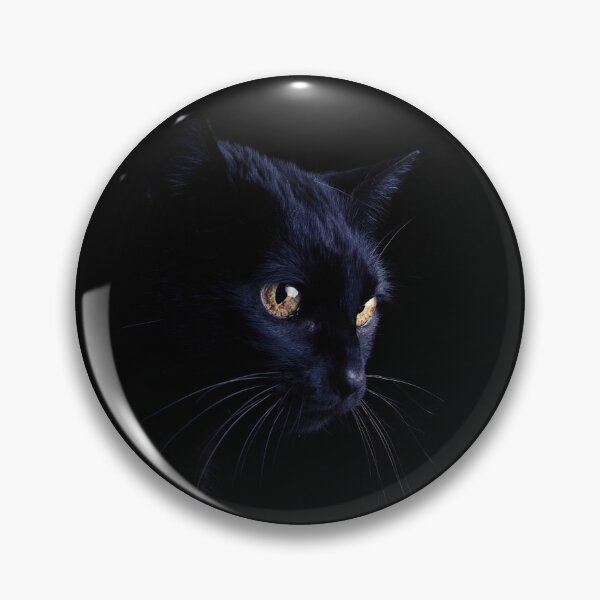 Item preview, Happy Catoween, Cat Holliday, Catoween Halloween designed and sold by MYNTLYF.