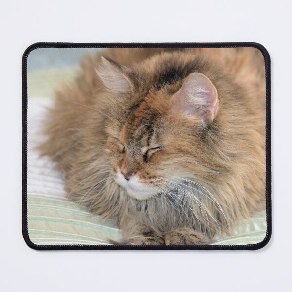 Item preview, Contented Cat designed and sold by Kathleen Brant.