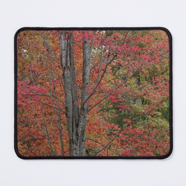Item preview, Autumn Trees with Red Leaves designed and sold by PeppermintCreek.