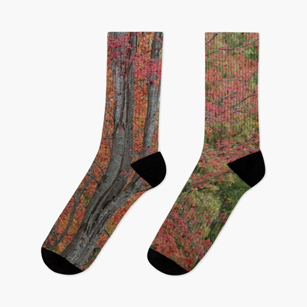 Item preview, Autumn Trees with Red Leaves designed and sold by PeppermintCreek.