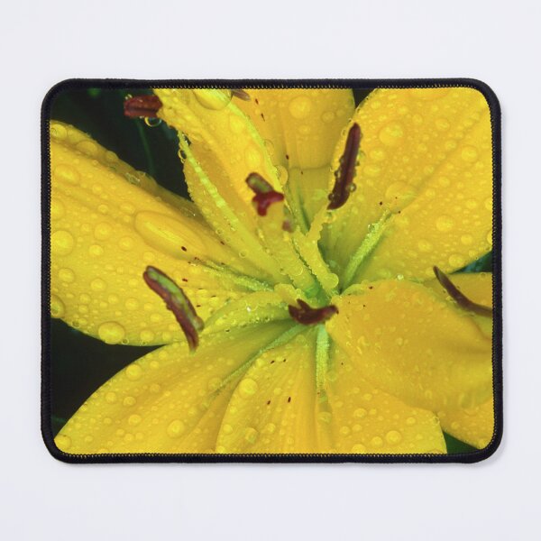 Item preview, Dew Soaked Lily designed and sold by Bill Spengler's Photographic Thoughts.