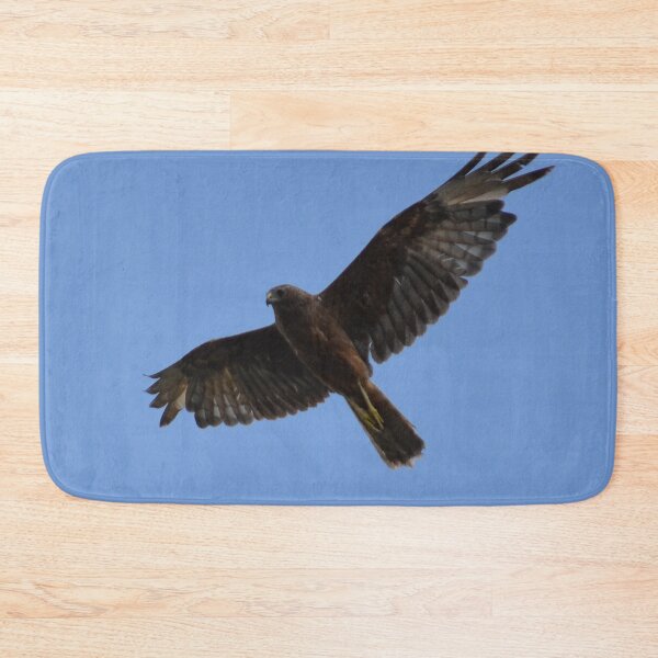 Item preview, Beach Flight 1- Harrier Auckland, New Zealand designed and sold by lizdomett.