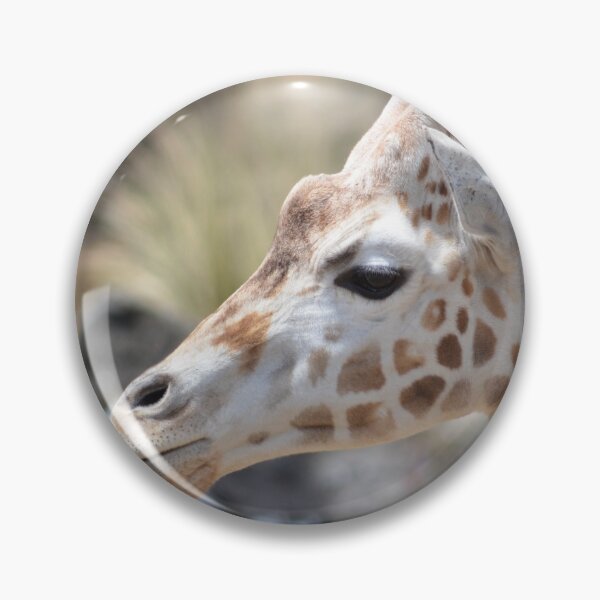 Item preview, adorable- Giraffe Auckland New Zealand designed and sold by lizdomett.