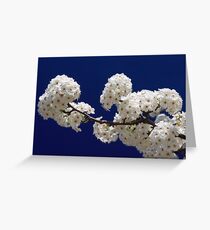 Blossoms In Blue Greeting Card