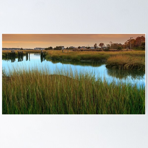 Marches Of Duck Creek Wellfleet Cape Cod Poster