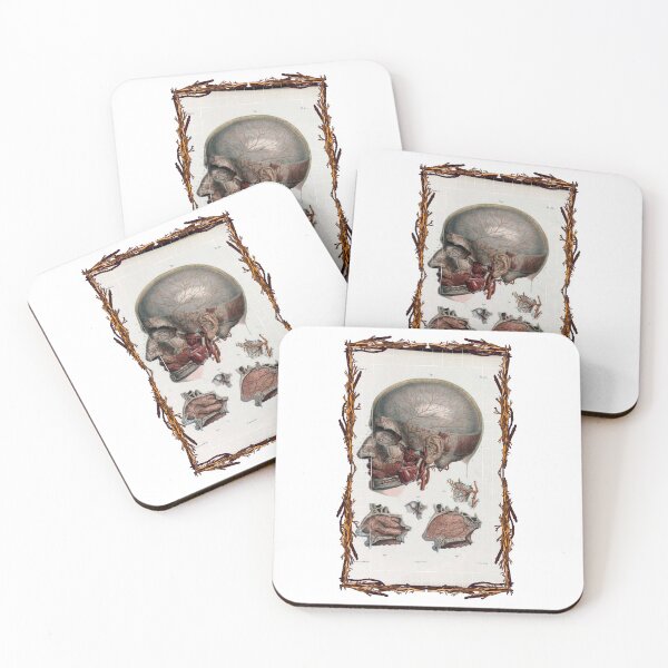 Artikelvorschau, Anatomical Board Cranial Vascular System - Anatomische Designs, menschlicher Körper und Anatomie-Boards entworfen und verkauft von AdvanceDesign.
