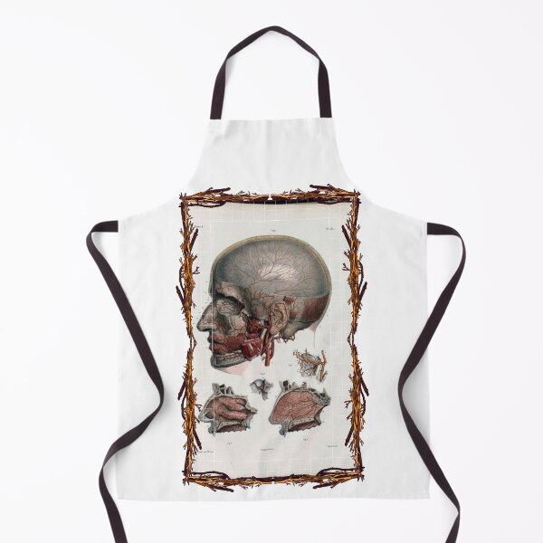 Item preview, Anatomical board Cranial vascular system - Anatomical designs, human body and anatomy boards designed and sold by AdvanceDesign.