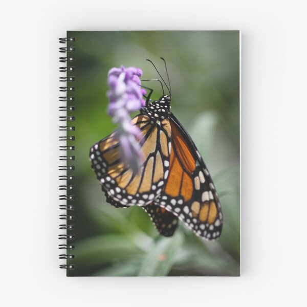 Item preview, Monarch Danaus Plexippus designed and sold by Henrik Lehnerer.